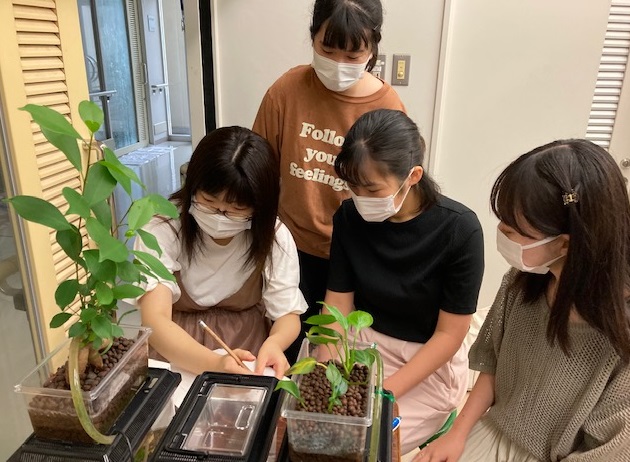 8月16日から8月20日の1週間、ゼミの学生が分担して水槽周り温度や湿度、水量や観葉植物の成長を観察に来ています。