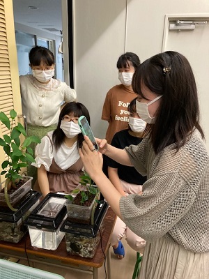 写真を撮って、観葉植物がどれだけ成長したか比較をします。