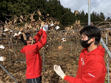 ほらどキウイを未来につなげよう