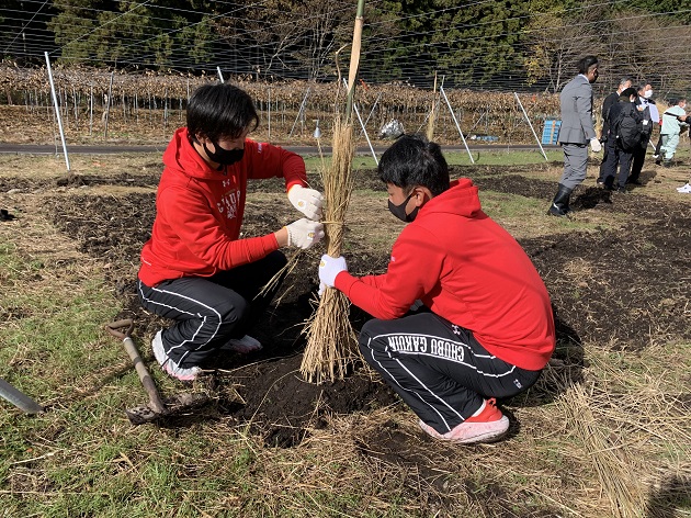 苗木を植樹している様子