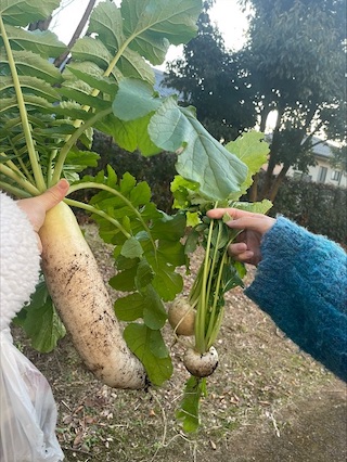 大きくなったね！自分たちで育てた野菜のお味は？？